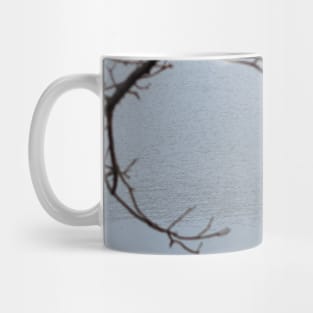 Mute Swan In The Distance Mug